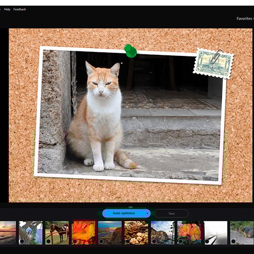 Ashampoo Photo Optimizer 10 For Windows License Key